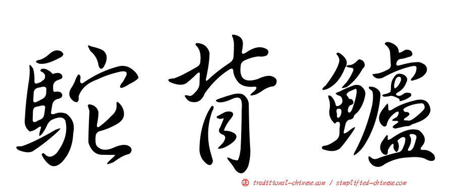 駝背鱸