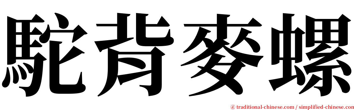 駝背麥螺 serif font