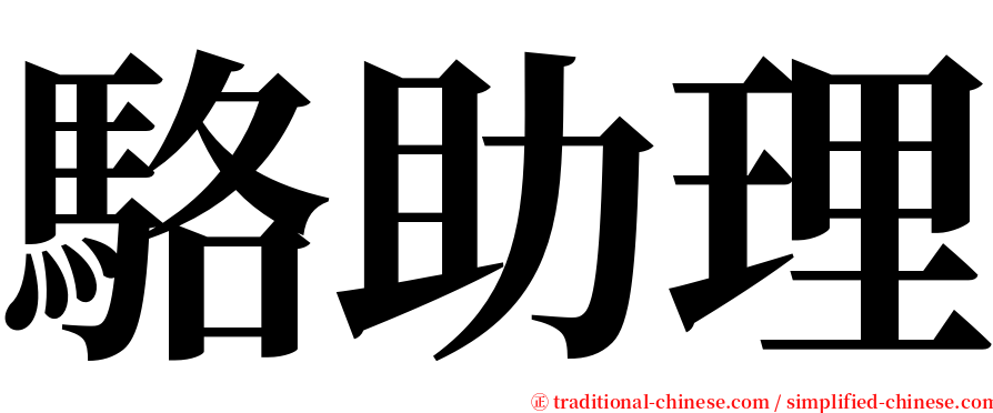 駱助理 serif font