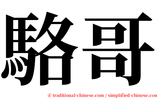 駱哥 serif font