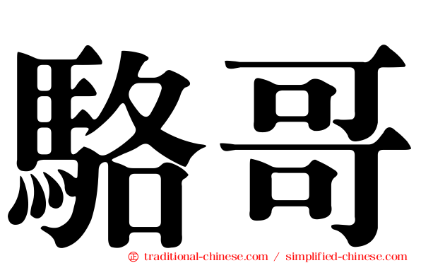 駱哥