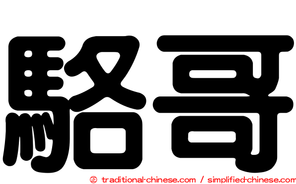 駱哥