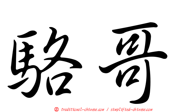 駱哥