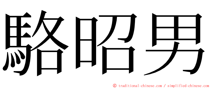 駱昭男 ming font
