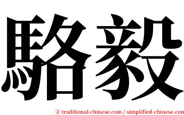 駱毅 serif font