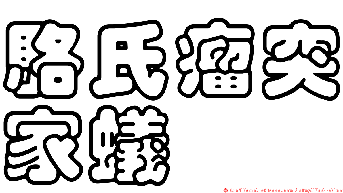 駱氏瘤突家蟻