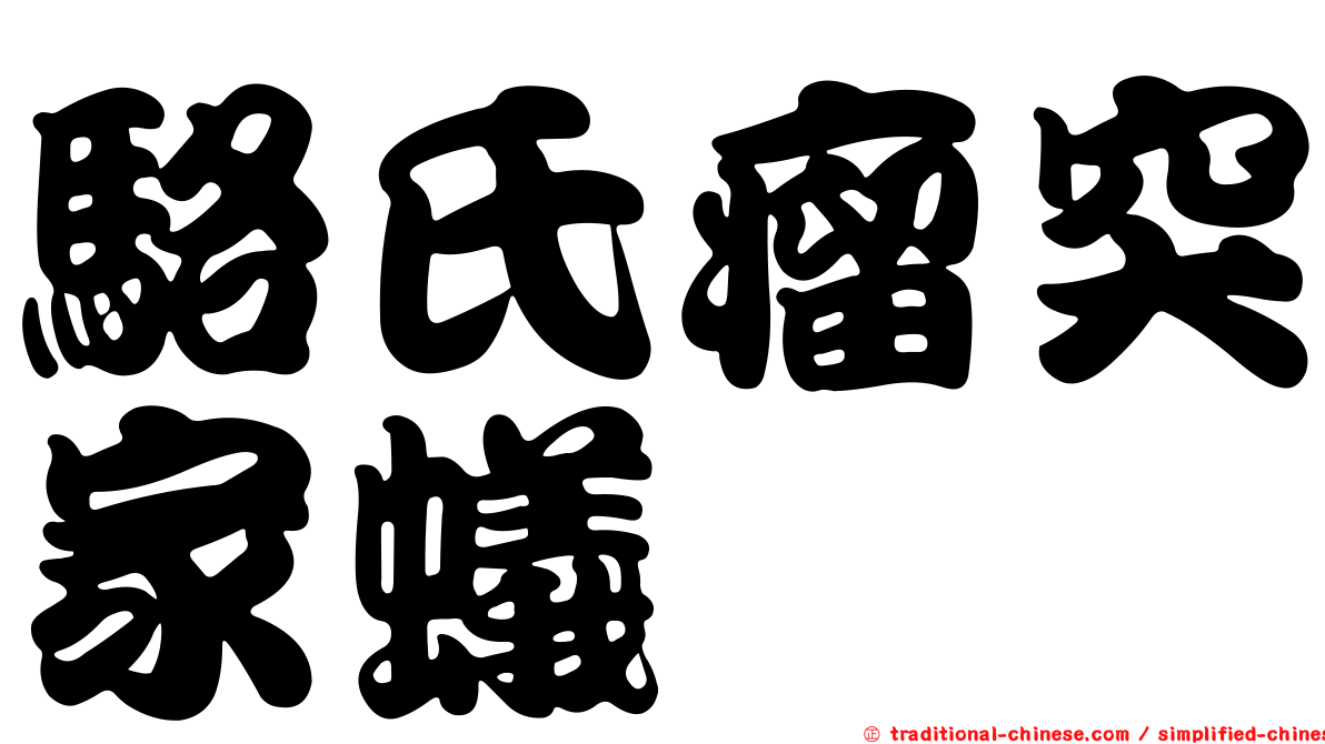 駱氏瘤突家蟻