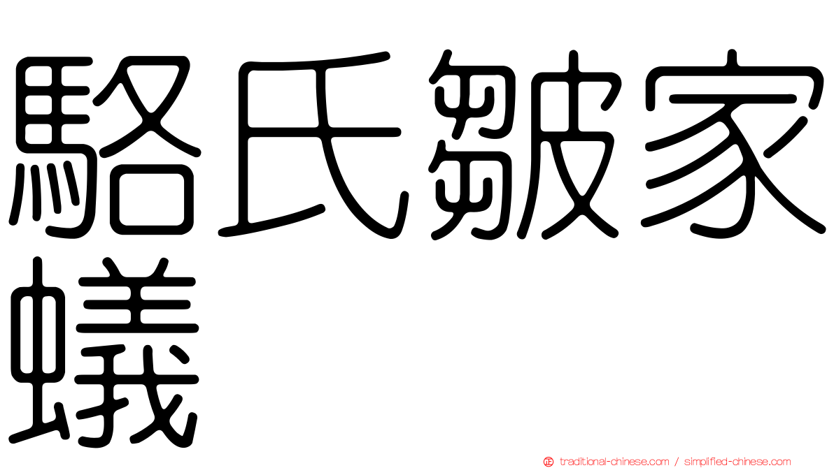 駱氏皺家蟻