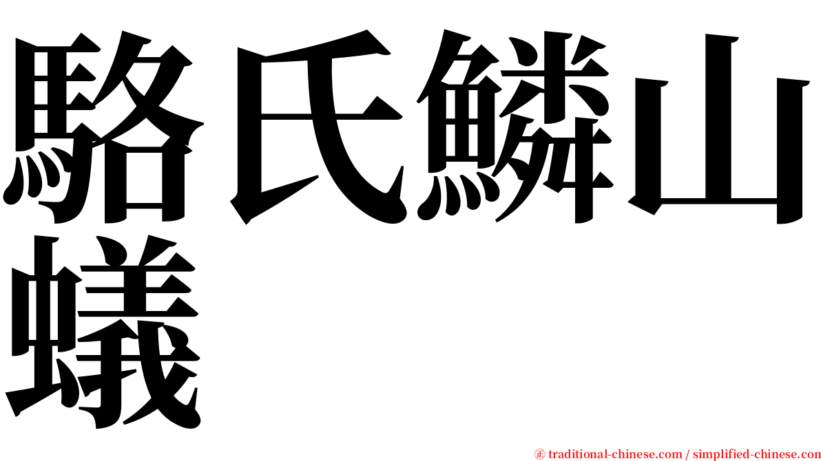 駱氏鱗山蟻 serif font