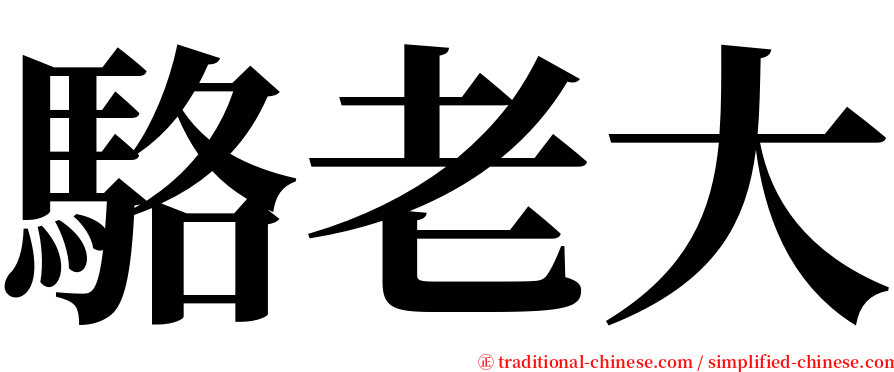駱老大 serif font