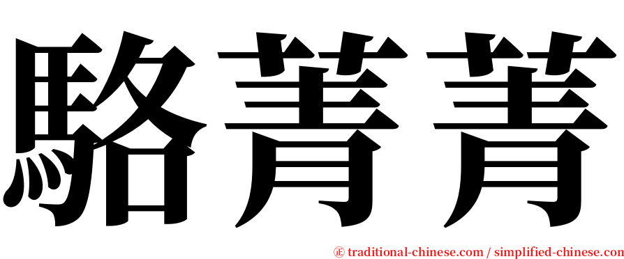 駱菁菁 serif font