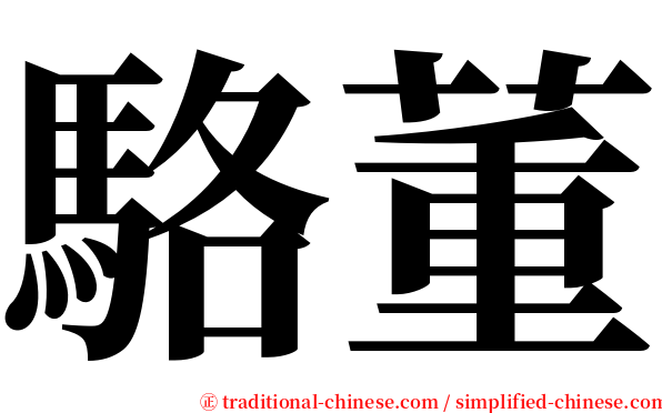 駱董 serif font