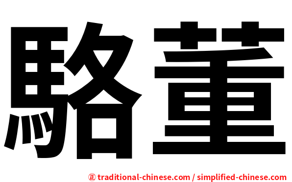 駱董
