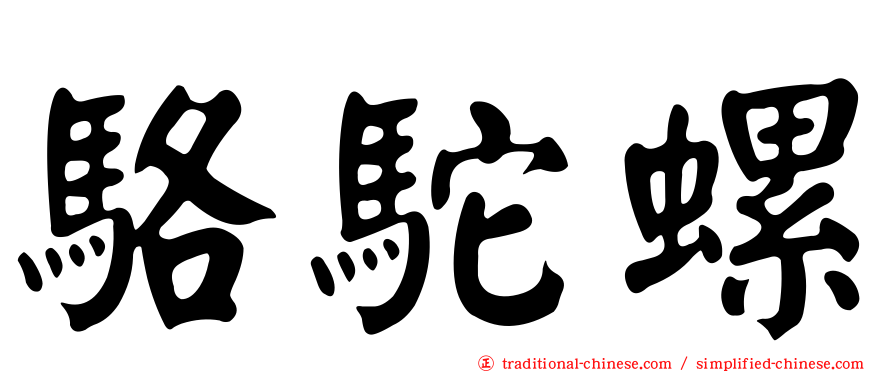 駱駝螺