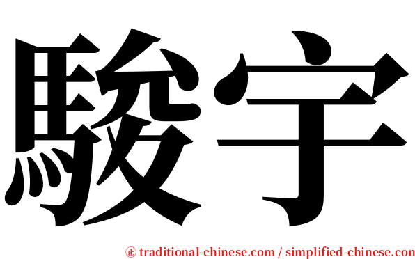 駿宇 serif font