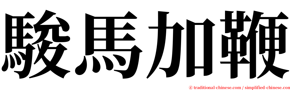 駿馬加鞭 serif font