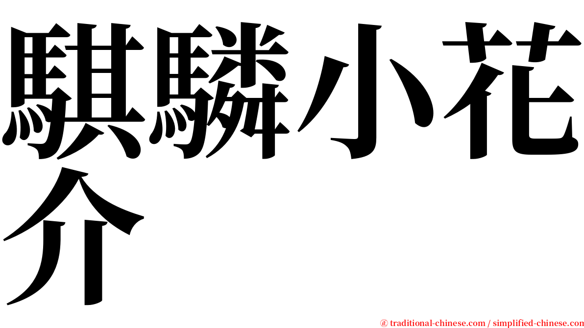 騏驎小花介 serif font