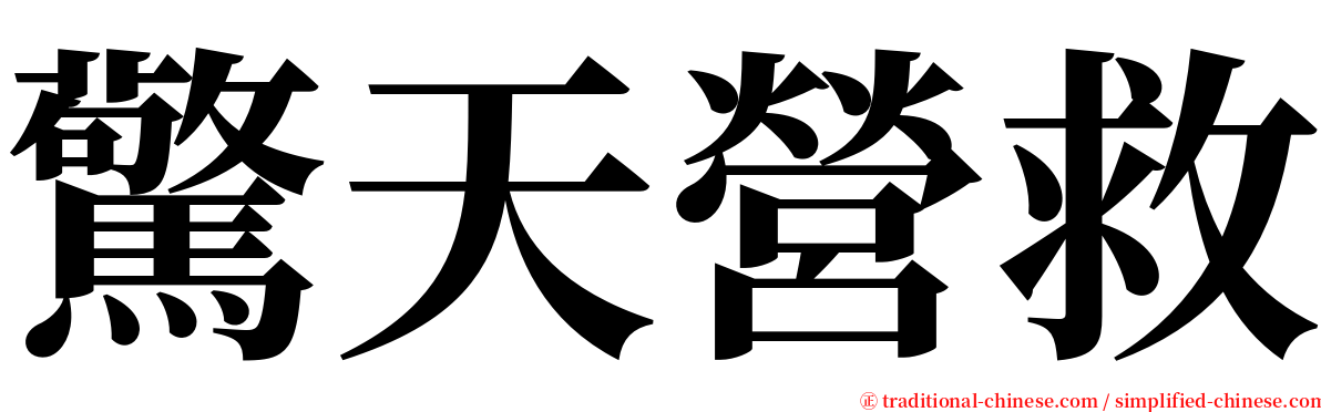 驚天營救 serif font