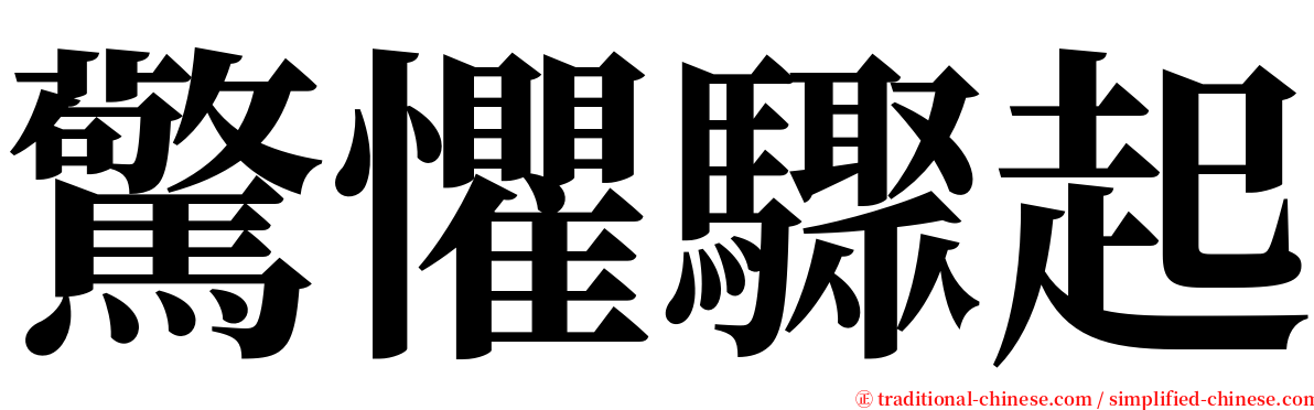 驚懼驟起 serif font