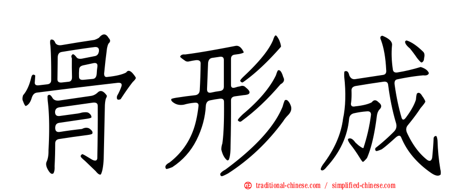 骨形成