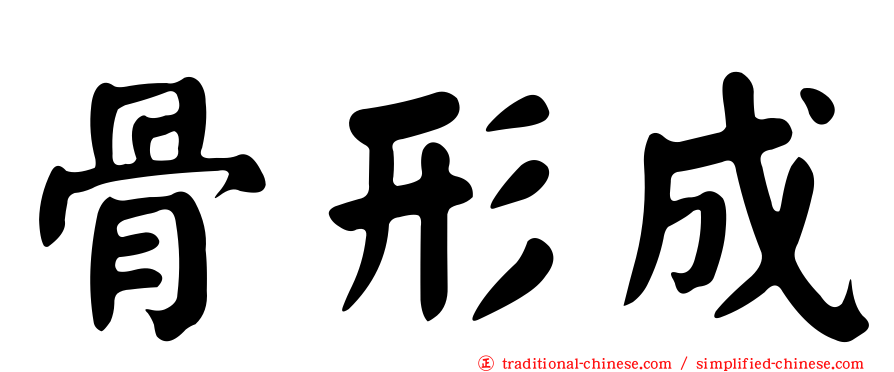 骨形成