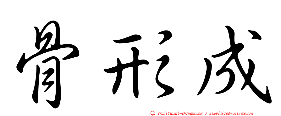 骨形成