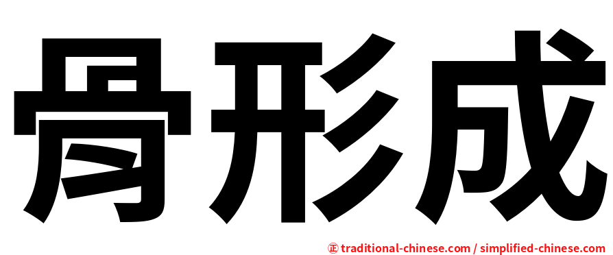 骨形成