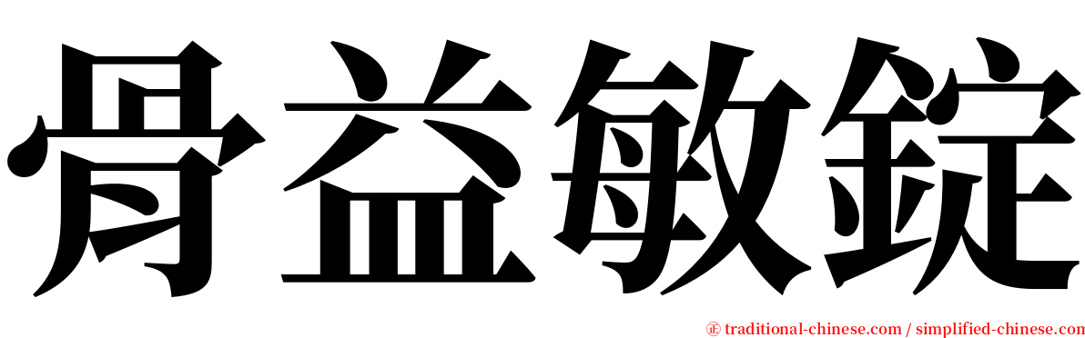 骨益敏錠 serif font