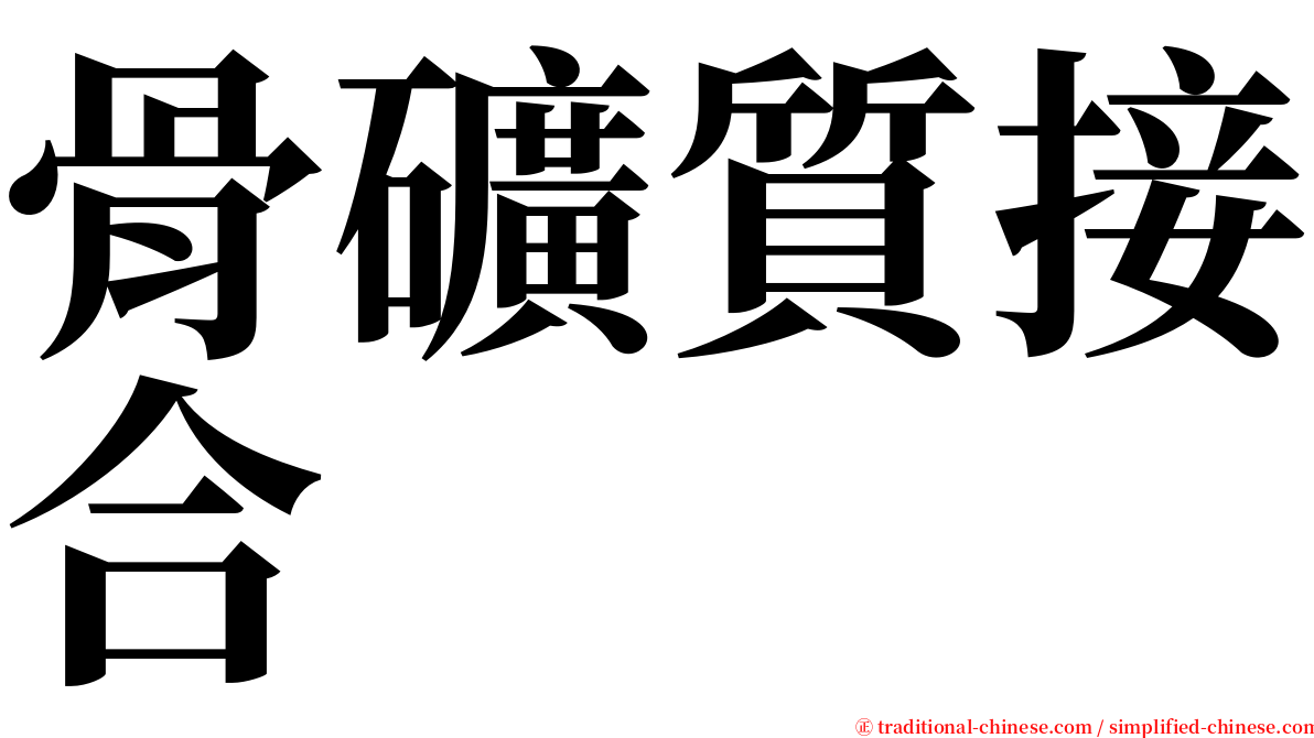 骨礦質接合 serif font