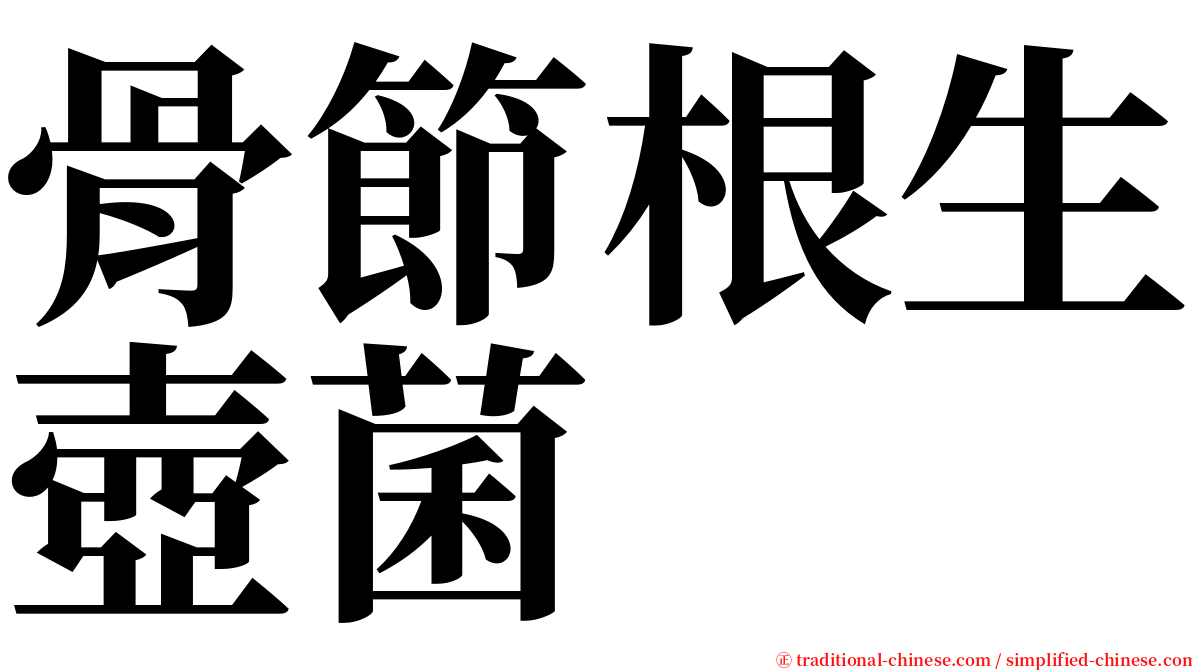 骨節根生壺菌 serif font