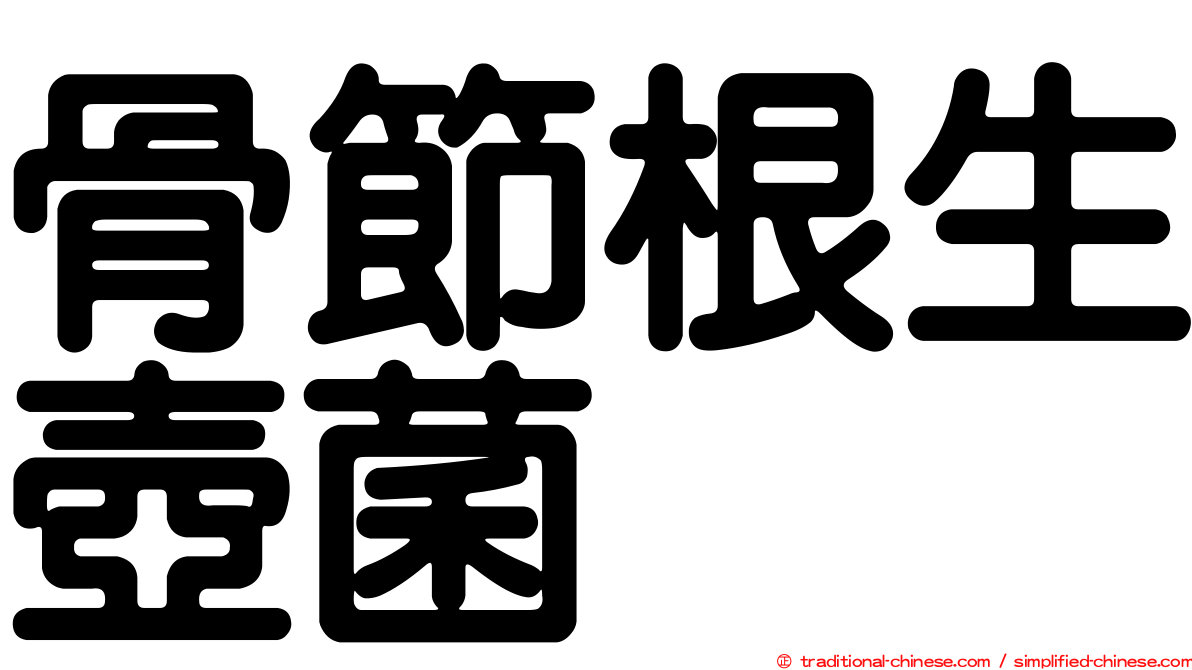骨節根生壺菌