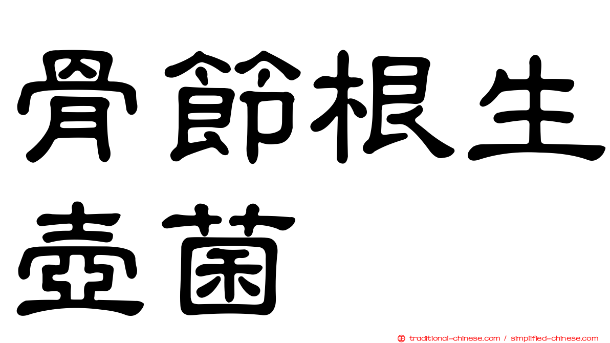 骨節根生壺菌