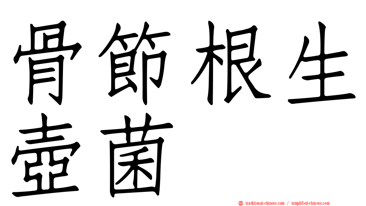 骨節根生壺菌