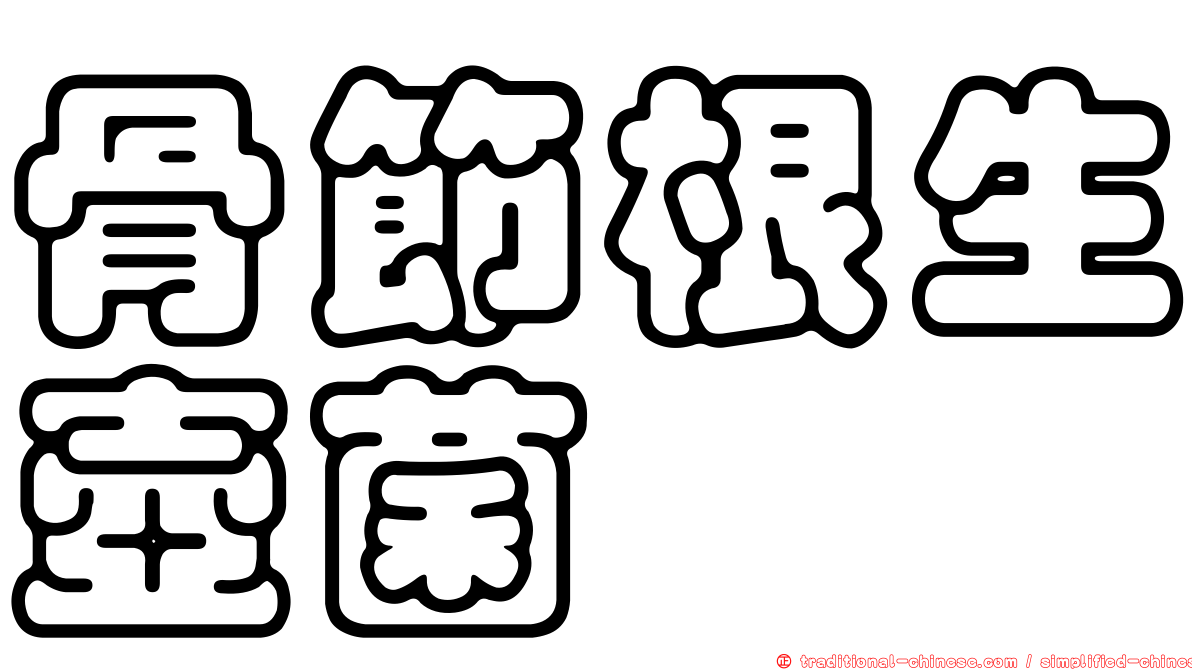 骨節根生壺菌