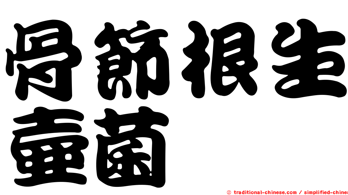 骨節根生壺菌