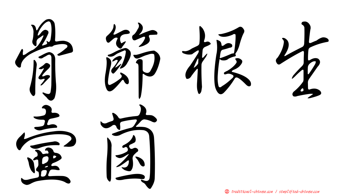 骨節根生壺菌