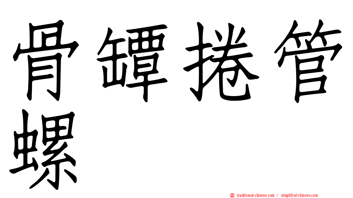 骨罈捲管螺