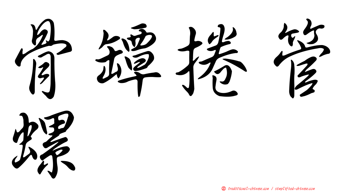 骨罈捲管螺