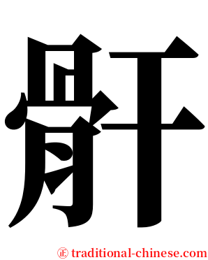 骭 serif font