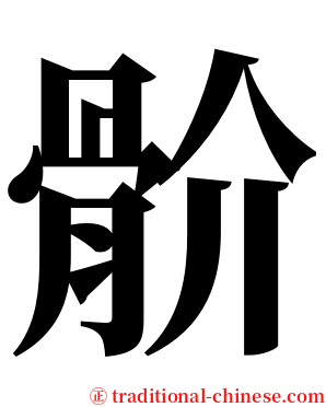 骱 serif font