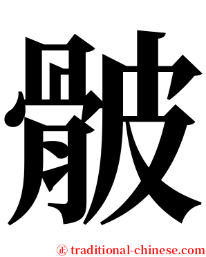 骳 serif font