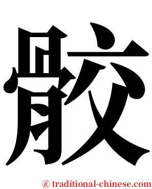 骹 serif font