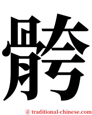 骻 serif font
