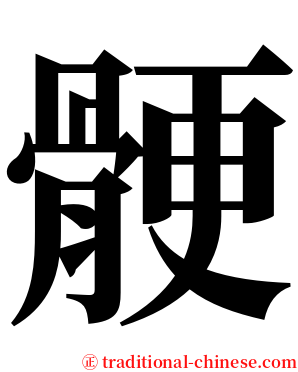 骾 serif font