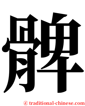 髀 serif font