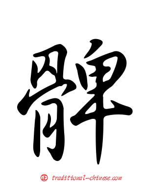 髀