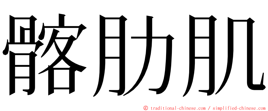 髂肋肌 ming font