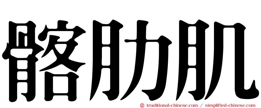 髂肋肌