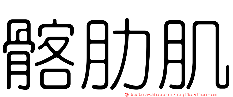 髂肋肌