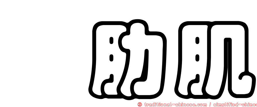 髂肋肌